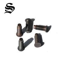 Custom made strux dog point clinch stud screw